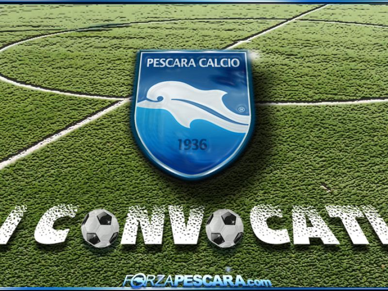 Cittadella-Pescara: I convocati, foto 1