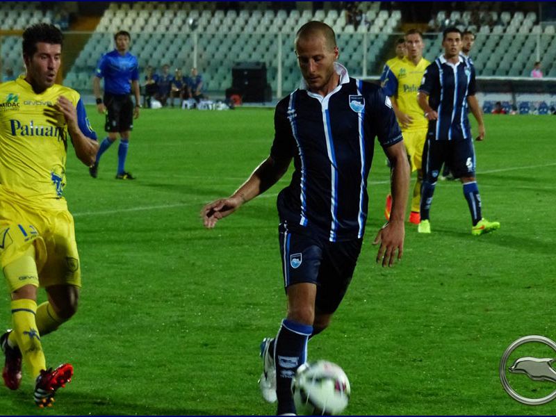 Grillo vicino all'Ascoli, foto 1