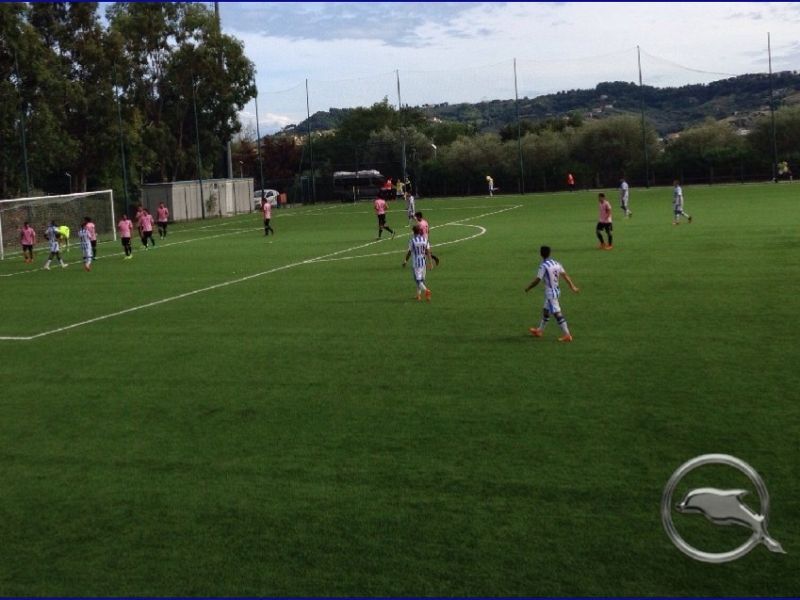 Primo punto per la Primavera , foto 1