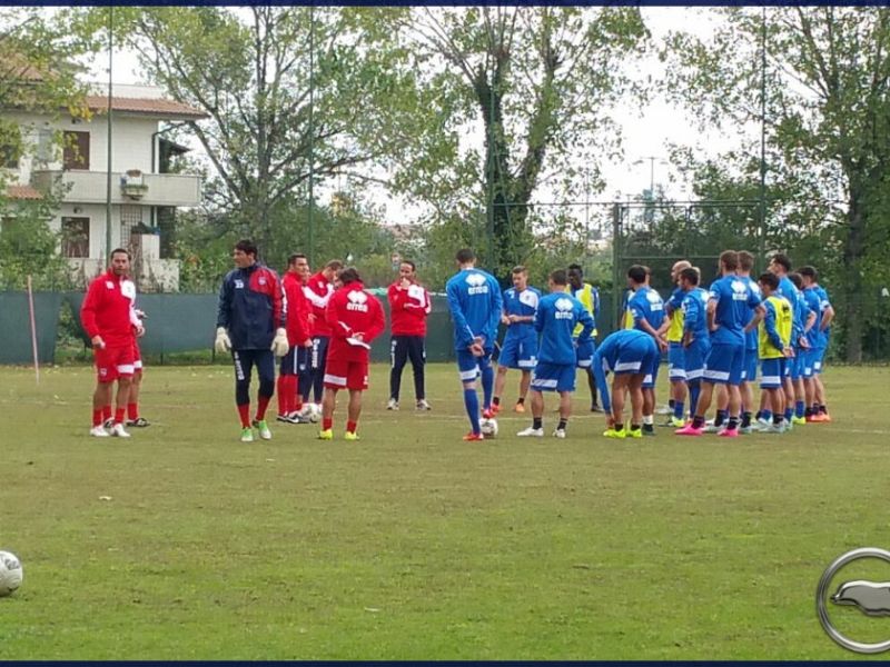 Notiziario: Torreira in gruppo, foto 1