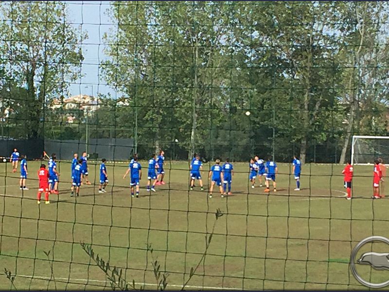 Notiziario: Zampano non al meglio, foto 1