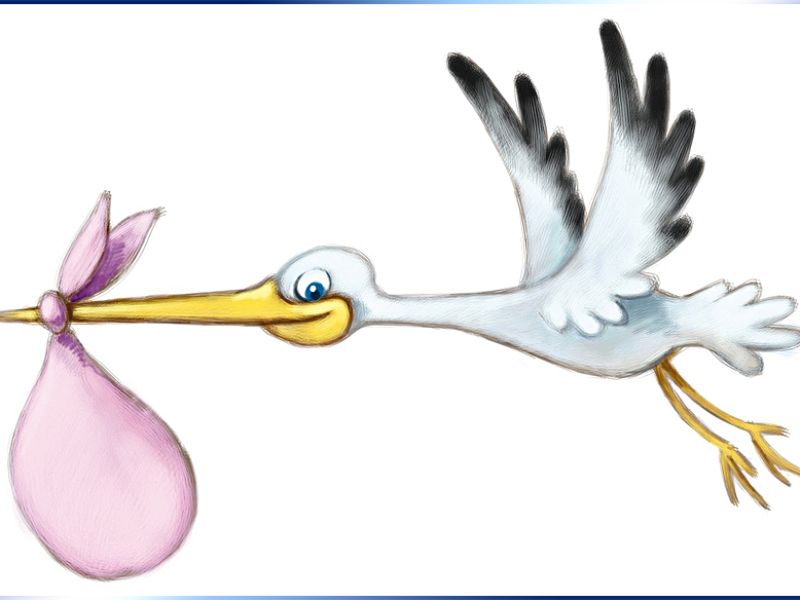 Fiocco rosa in casa Rocchi, foto 1