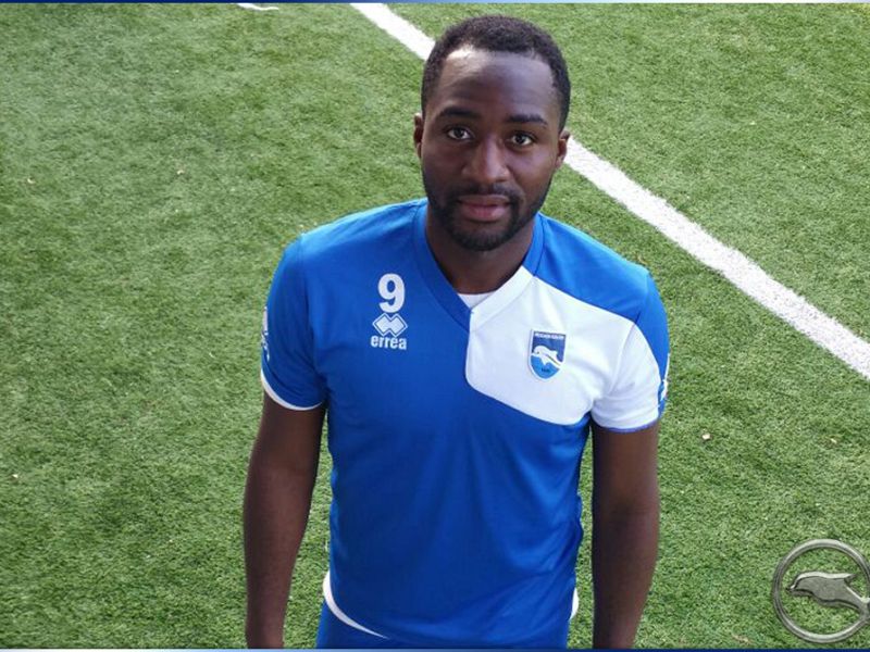 Notiziario: si blocca Luca Forte, foto 3