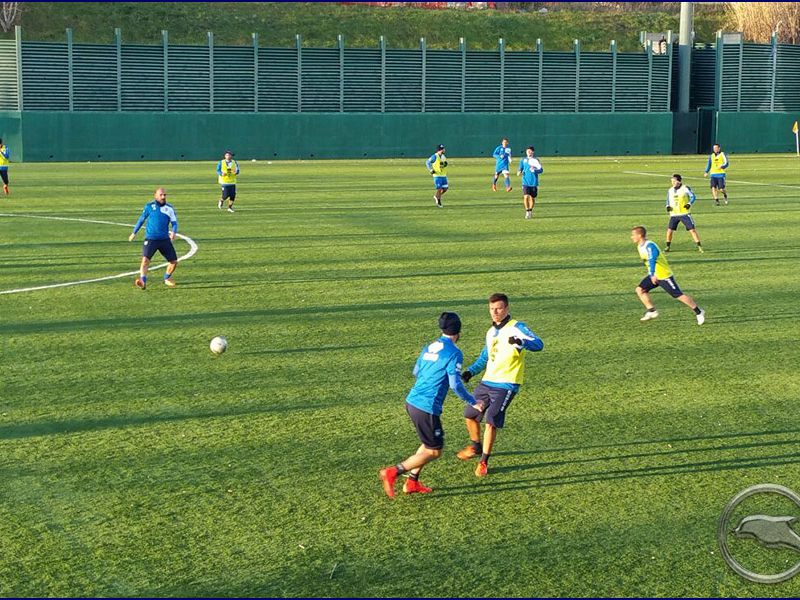 Notiziario: Zampano in gruppo, foto 4