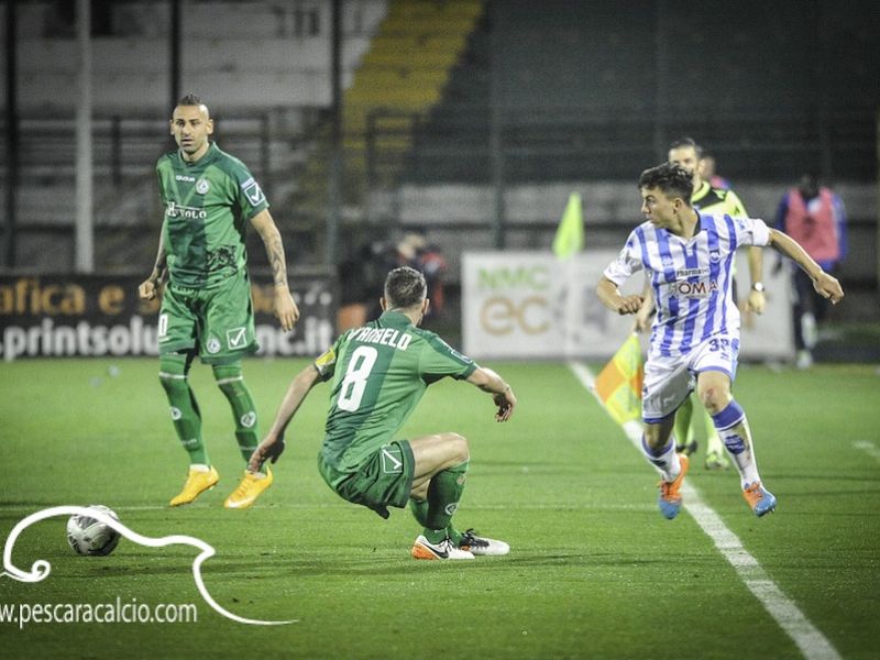 Ventola, un'arma in più per il Delfino, foto 1