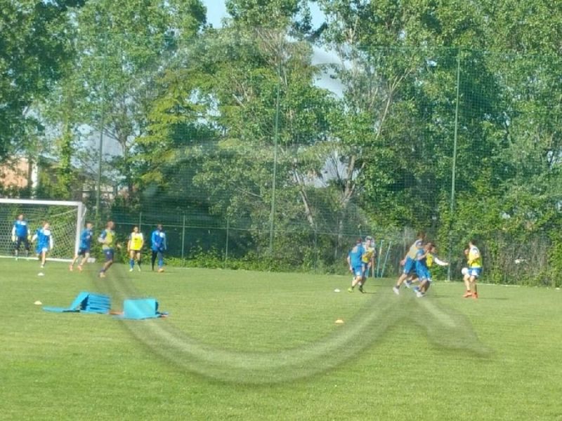 Notiziario: Zampano in gruppo, foto 2