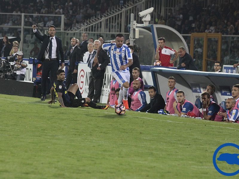 Nessun problema per Pepe, torna a disposizione, foto 1