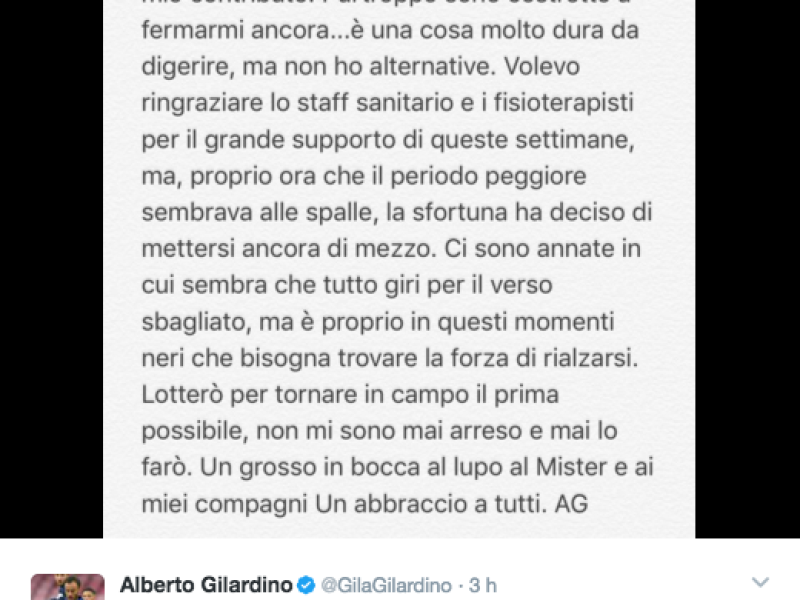 Gilardino su Twitter: ''Non mi arrendo'', foto 1