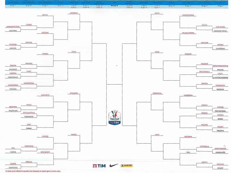 Tim Cup il 6 agosto o Arezzo o Triestina, foto 1