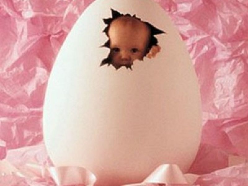 Benvenuta Norah!, foto 1