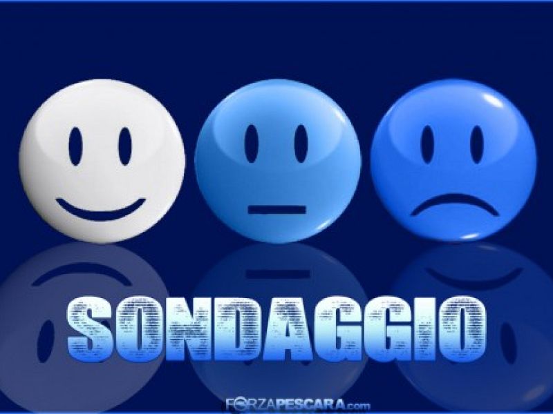 Risultati sondaggio - Maggioranza in disaccordo con Sebastiani, foto 1