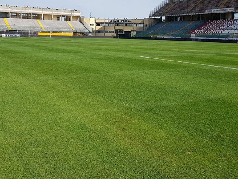 Alle 17.30 il recupero di Padova-Pescara, foto 1