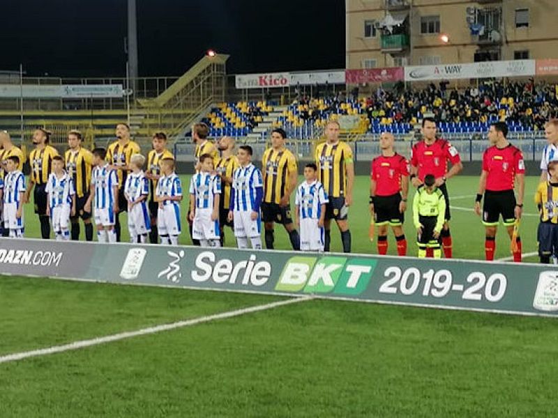 Le vespe pungono il Delfino, foto 1