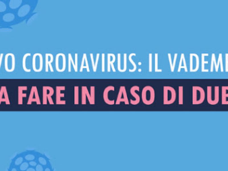 Cosa si può fare e cosa non si può fare, il vademecum, foto 1