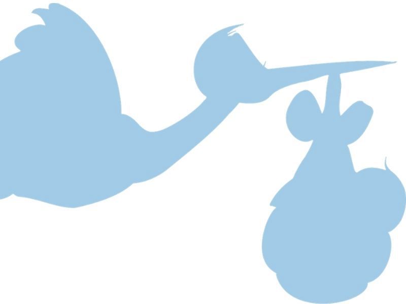 Fiocco azzurro in casa Pescara, foto 1