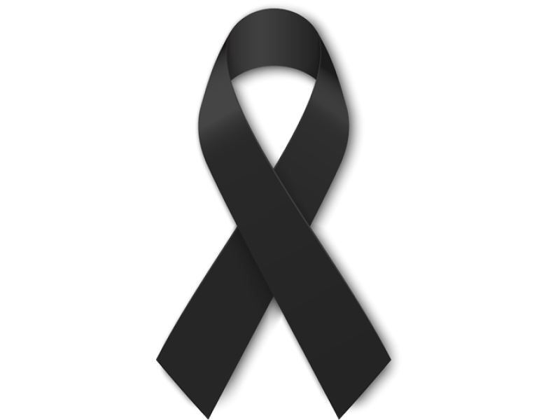 Lutto in casa Teseo, foto 1