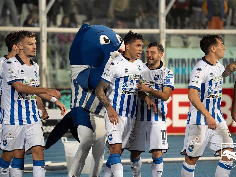 Il Delfino in balia delle onde, foto 1