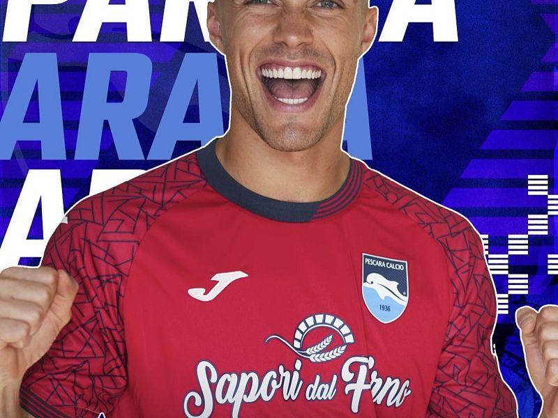 Non bastano di Nardo e Desplanches: Bari-Pescara 1-1, foto 1